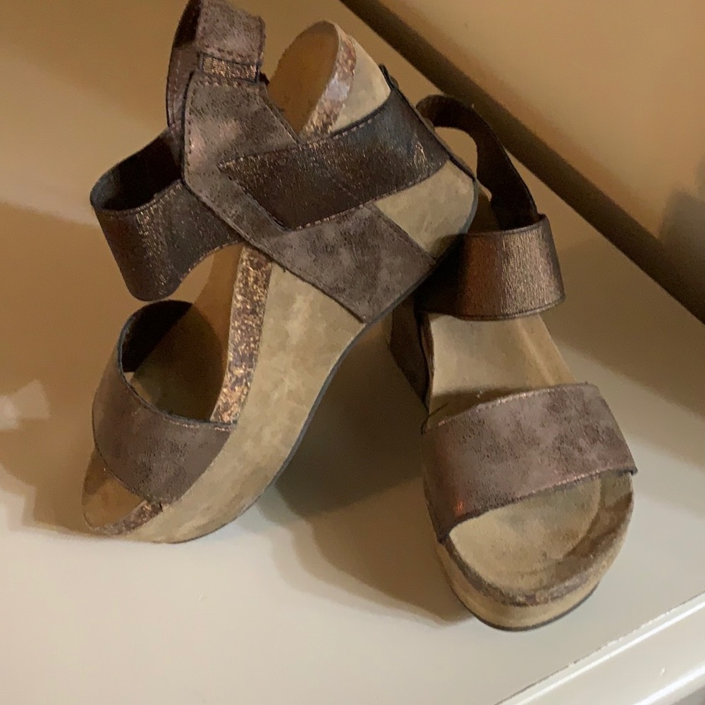 Pierre Dumas wedges